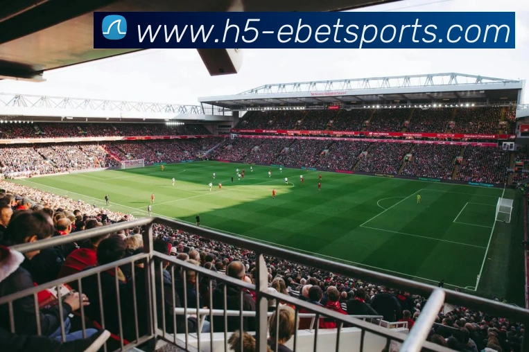 体育下注服务体系