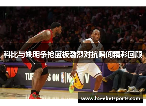 科比与姚明争抢篮板激烈对抗瞬间精彩回顾